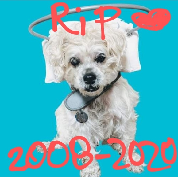 Meet your Seller/Buyer... - Picture 6 of 16